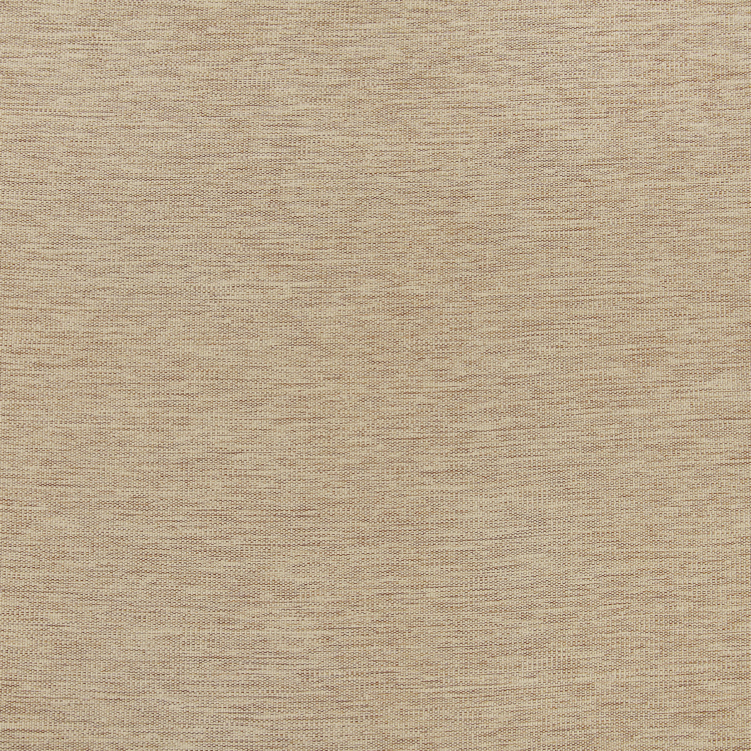 Ginger Bellino Blackout Room Darkening Swatch