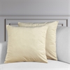 Light Beige Heritage Plush Velvet Cushion Cover - Pair