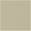 Light Beige Plush Velvet Swatch